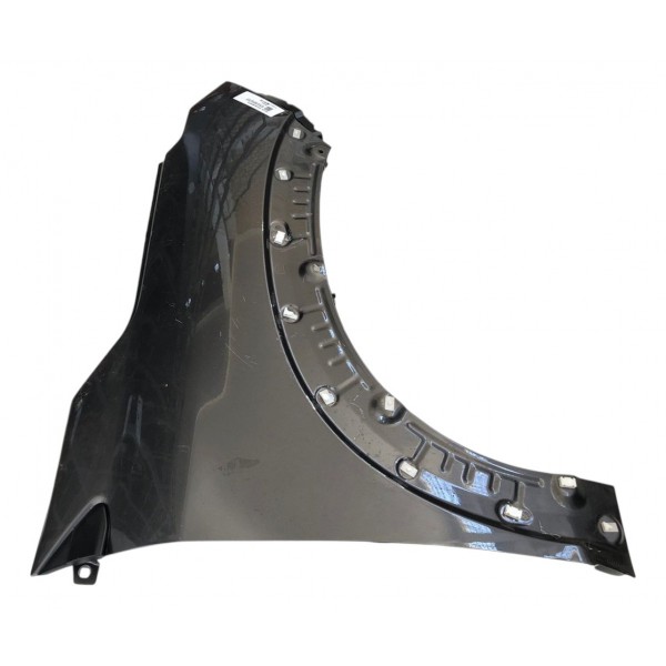 Paralama Dianteiro Direito Fiat Pulse 2023 2024 Furo Moldura