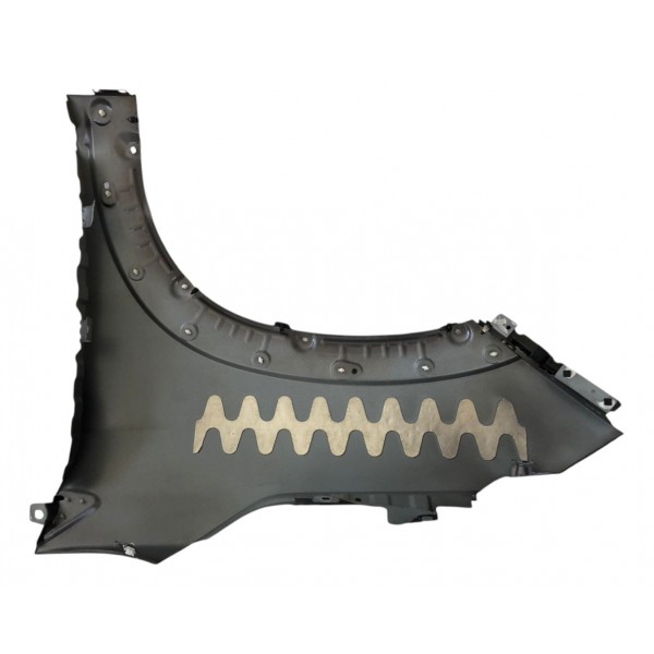 Paralama Dianteiro Direito Fiat Pulse 2023 2024 Furo Moldura