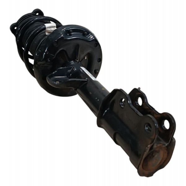 Amortecedor Suspensão Dianteira Pulse 2023 2024 2025 Direito