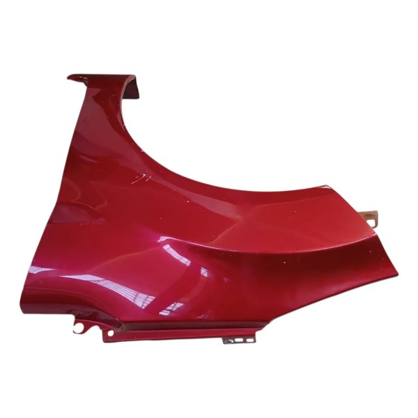 Paralama Dianteiro Esquerdo New Fiesta Mexicano 2011 2012