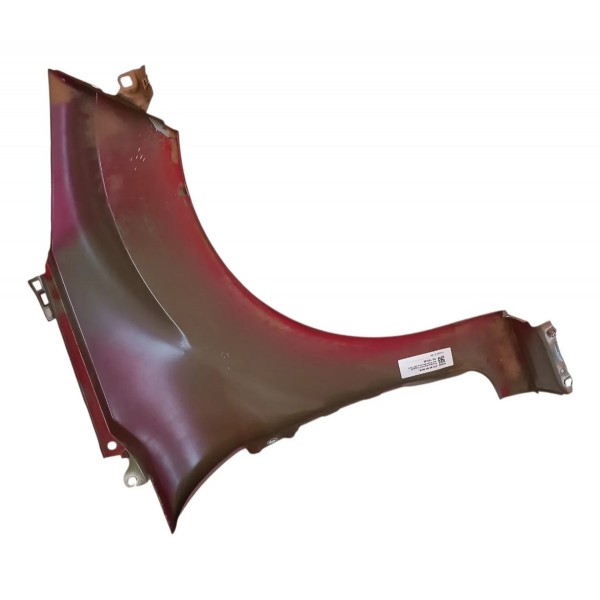 Paralama Dianteiro Esquerdo New Fiesta Mexicano 2011 2012