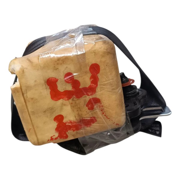 Cinto Segurança Traseiro Esquerdo Renault Kwid 2019 A 2022