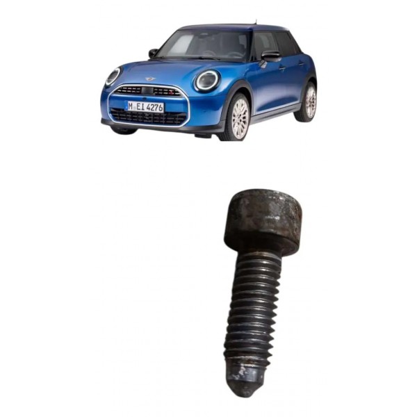Parafuso Fixação Flauta Combustivel Mini Cooper 1.6 2010