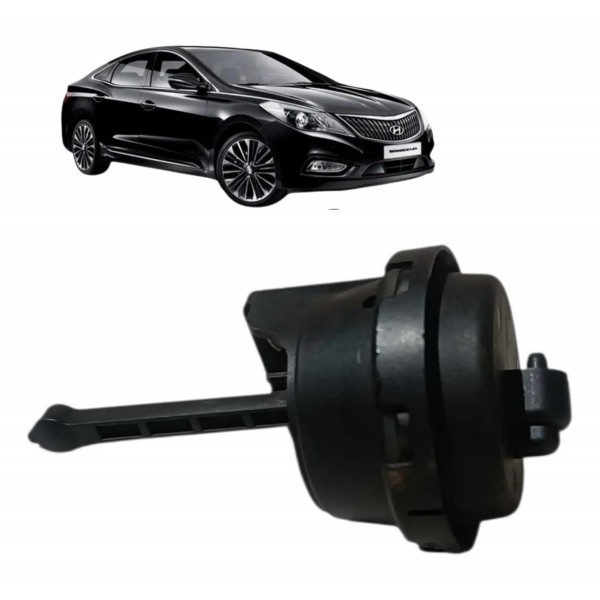 Atuador Vacuo Coletor Adm  Hyundai Azera 3.0 V6 2012 A 2016