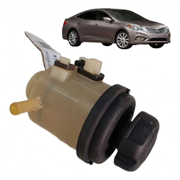 Reservatorio Oleo Direcao Hidraulica Hyundai Azera 3.0 V6